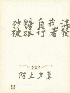 砂糖自我满足时被旅行者发现小说