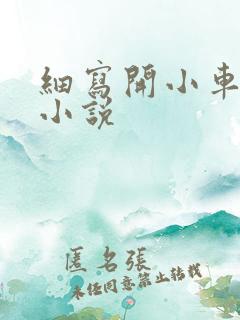 细写开小车车的小说