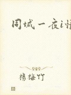 同城一夜i情
