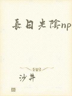 长日光阴np