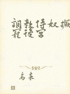 调教侍奴撅臀男宠后宫