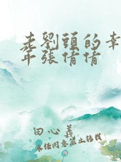 老刘头的幸福晚年张倩倩