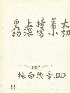 皇上撞着太子妃的深处小初