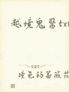 越境鬼医txt