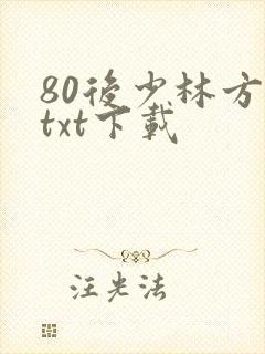 80后少林方丈txt下载