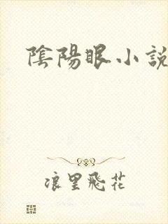 阴阳眼小说