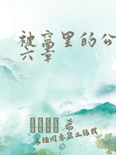 被窝里的公息第六章