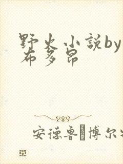 野火小说by夏布多昂