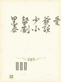 黑帮少爷爱上我泰剧小说