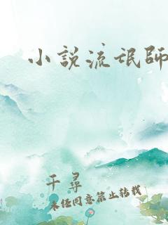 小说流氓师表