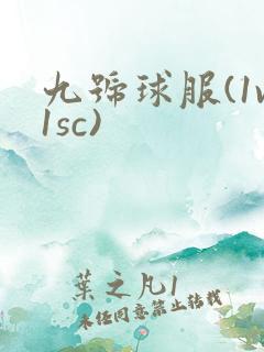 九号球服(1v1sc)