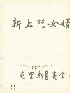 新上门女婿下载