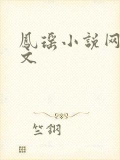 凤瑶小说网高辣文