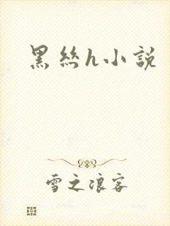 黑丝h小说