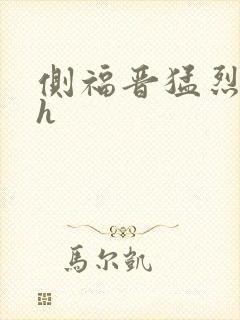 侧福晋猛烈顶弄h