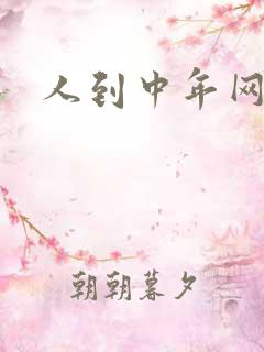 人到中年网站