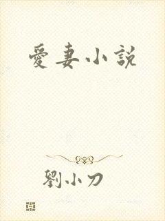 爱妻小说