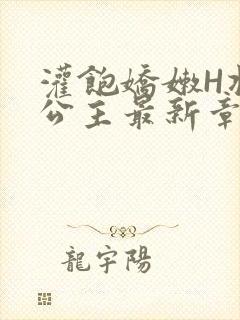 灌饱娇嫩H将军公主最新章节