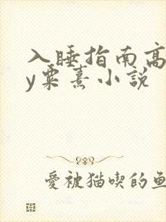 入睡指南高干by粟熹小说