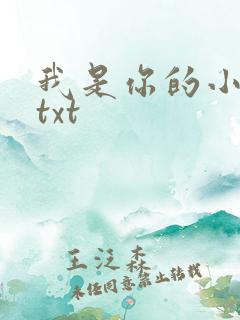 我是你的小小狗txt