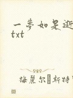 一梦如是逝水长txt