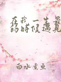 在我一生最猥琐的时候遇见你