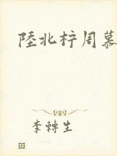 陆北柠周慕深