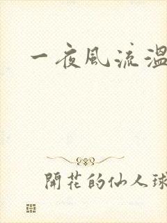 一夜风流温暮生