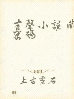 有声小说 藏地密码