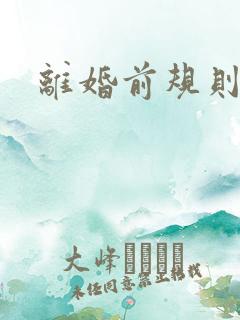 离婚前规则小说