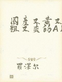 国产又黄又猛又粗又爽的A片小说