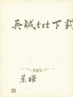 兵贼txt下载