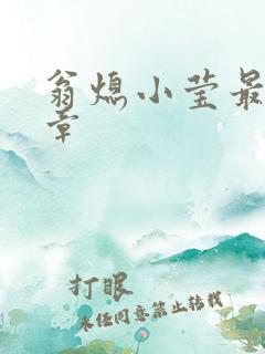 翁熄小莹最新节章
