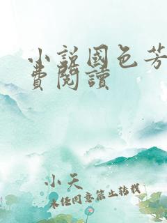 小说国色芳华免费阅读