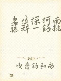 名侦探柯南给工藤新一的挑战书