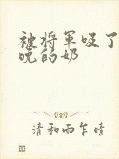 被将军吸了一整晚的奶