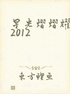 星光熠熠耀保良2012