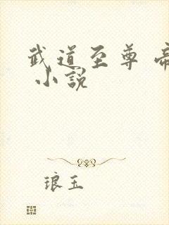 武道至尊 帝临 小说