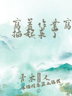 写着作业写着就插起来了