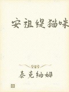 安祖缇猫咪抱抱