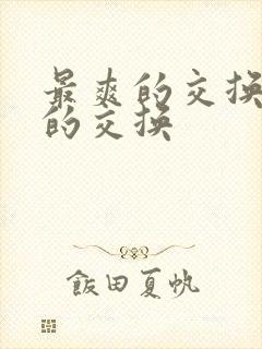 最爽的交换疯狂的交换