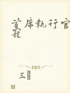 首席执行官的绝宠