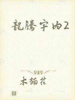 龙腾宇内2
