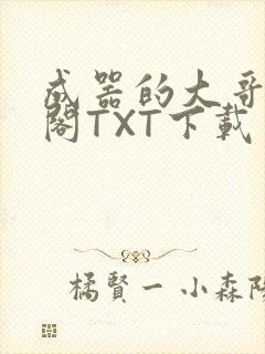成器的大哥笔趣阁TXT下载