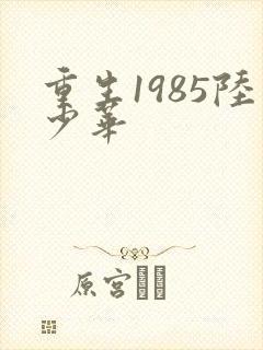 重生1985陆少华