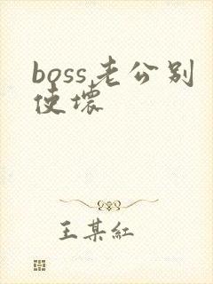 boss老公别使坏