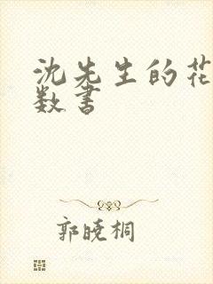 沈先生的花式调数书