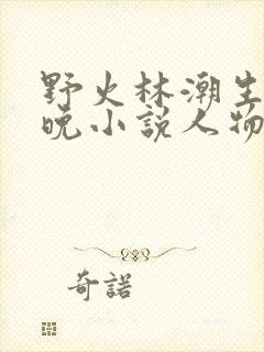 野火林潮生林晚晚小说人物野火