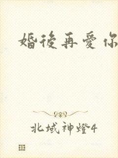婚后再爱你
