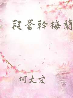 段誉干梅兰竹菊